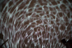 28SoundsHolographic